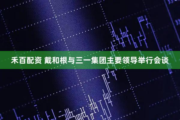禾百配资 戴和根与三一集团主要领导举行会谈