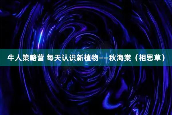 牛人策略营 每天认识新植物——秋海棠（相思草）