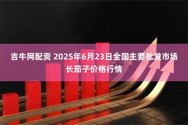 吉牛网配资 2025年6月23日全国主要批发市场长茄子价格行情