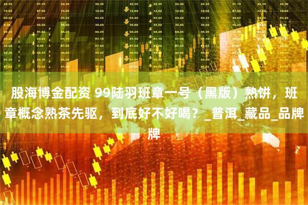 股海博金配资 99陆羽班章一号（黑版）熟饼，班章概念熟茶先驱，到底好不好喝？_普洱_藏品_品牌