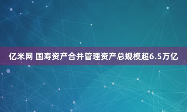 亿米网 国寿资产合并管理资产总规模超6.5万亿
